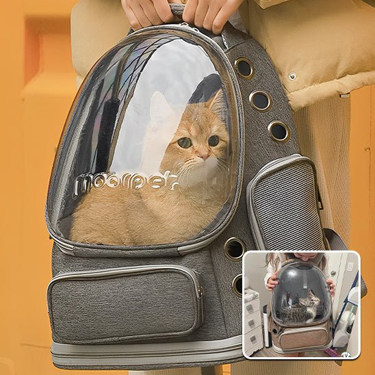 Sac Ă dos pour chat - confort - RonRonExpress