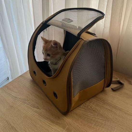 Sac à dos pour chat - Pastel - RonRonExpress