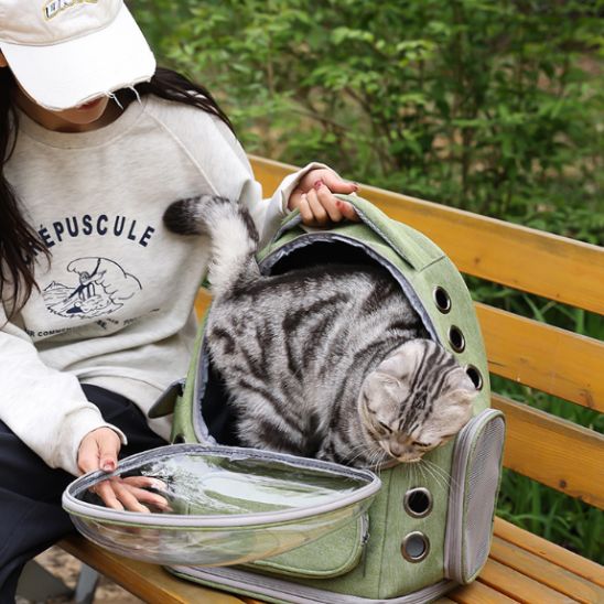 Sac de transport chat Cosmonaute - RonRonExpress