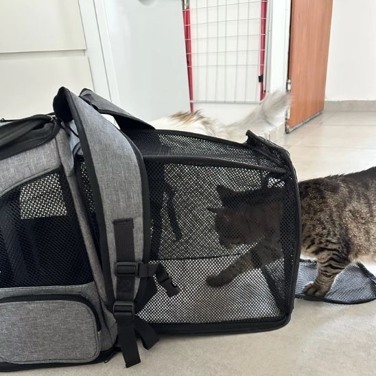Sac de transport chat modulaire - RonRonExpress
