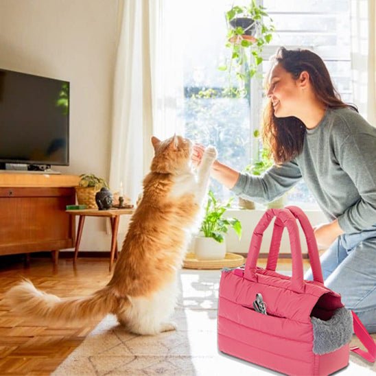 sac de transport pour chat - design - RonRonExpress