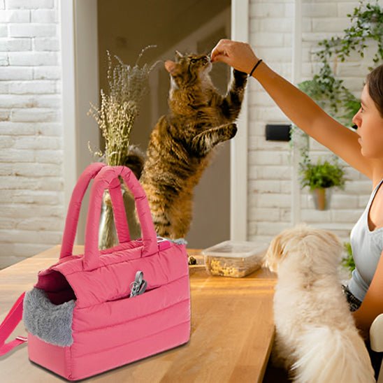 sac de transport pour chat - design - RonRonExpress
