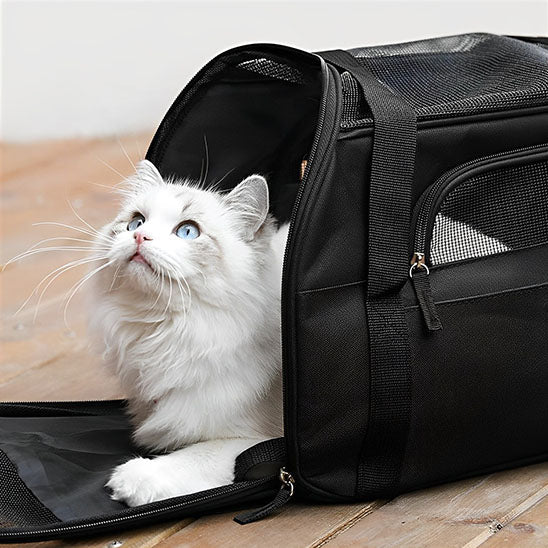 Sac pour transporter chat blanc
