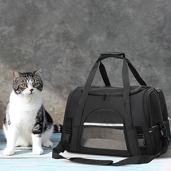 Sac pour transporter chat noir