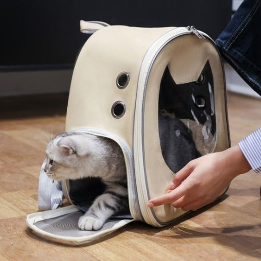 sac à dos pour chat - view - RonRonExpress